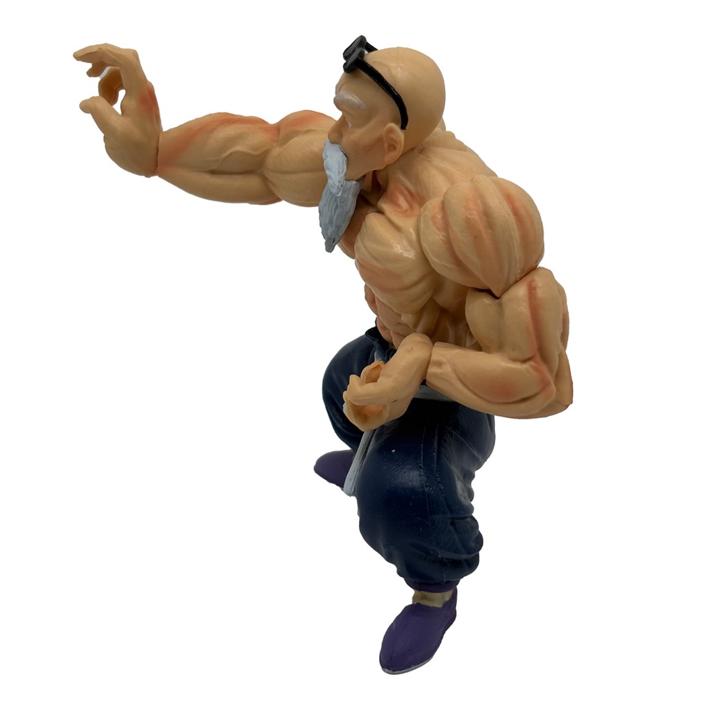 FIGURA MESTRO ROSHI